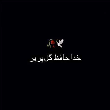 دانلود آهنگ گل پر پر مهدی دارابی